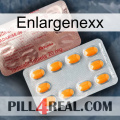 Enlargenexx new13